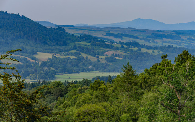 DSF6548.jpg