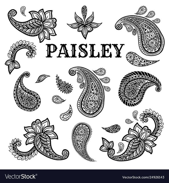 Paisley Ink Motifs Ornate Scrolls vector image on Vector Stock.jpg