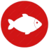 Zalm kopen bij de boer uit jou buurt, gemeente of provincie - Boeren houden van vis zoals, zalmen - www.Vleekopenbijdeboer.nl