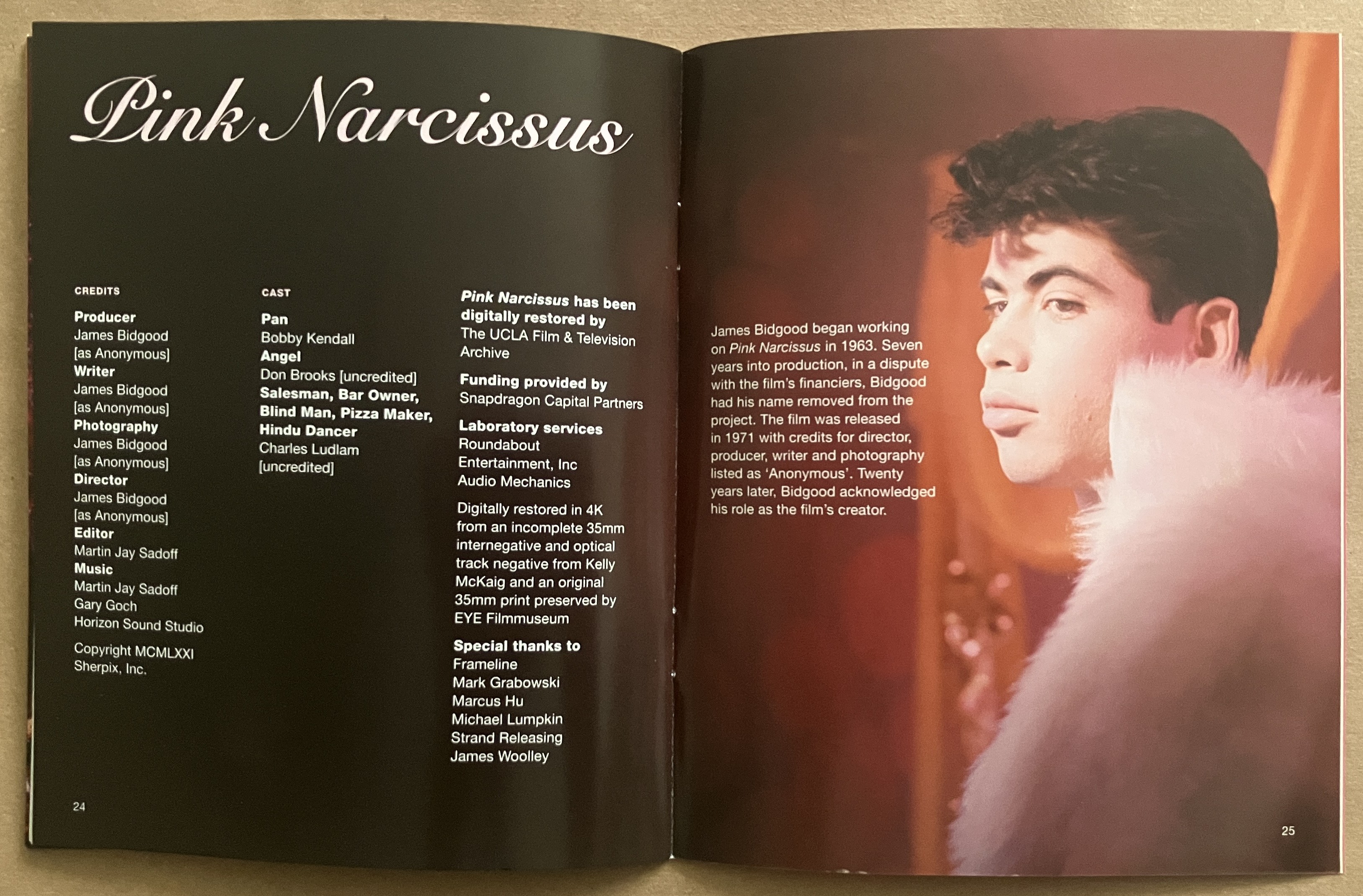 Pink Narcissus (1971) - Blu-ray Forum