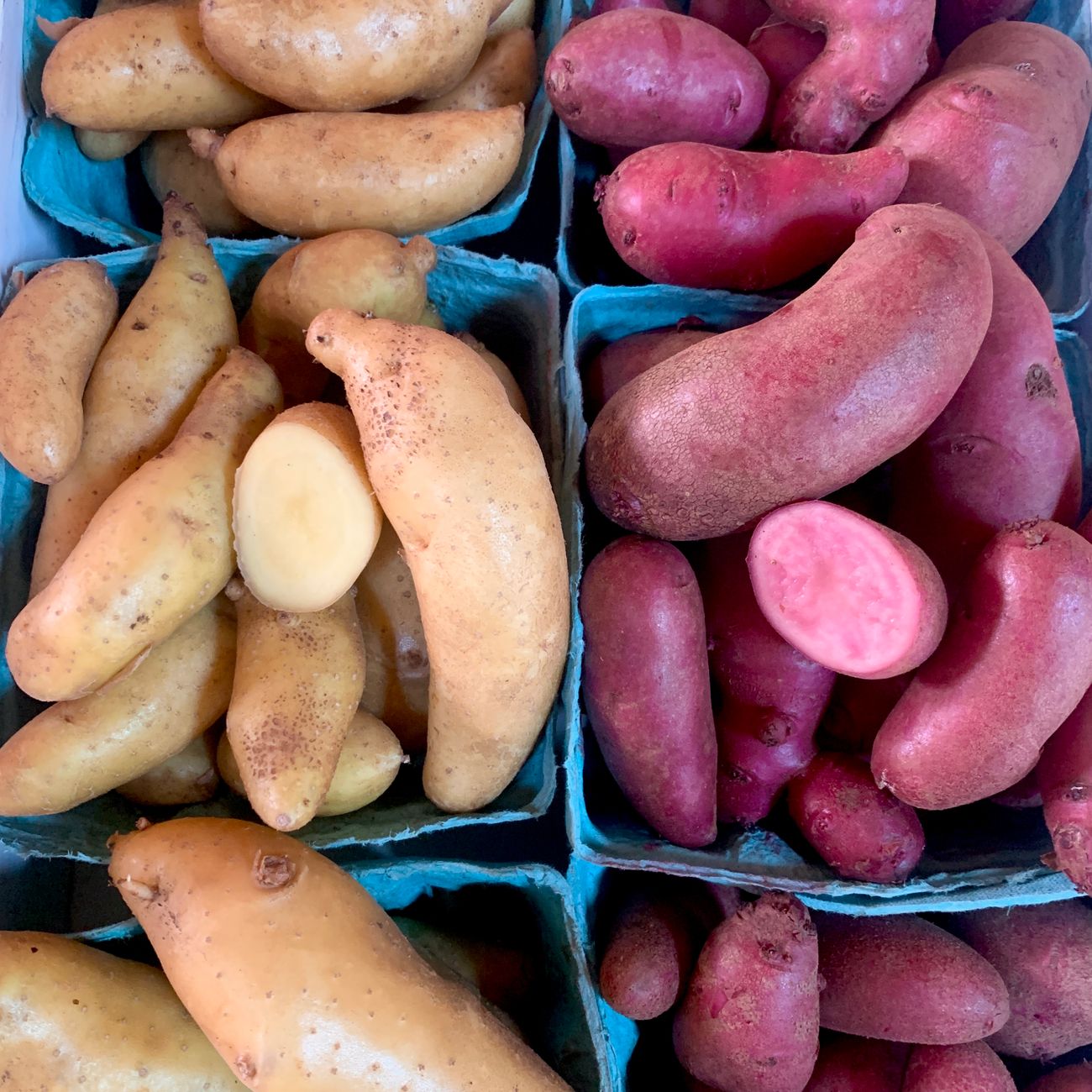Cómo conservar los alimentos sin nevera