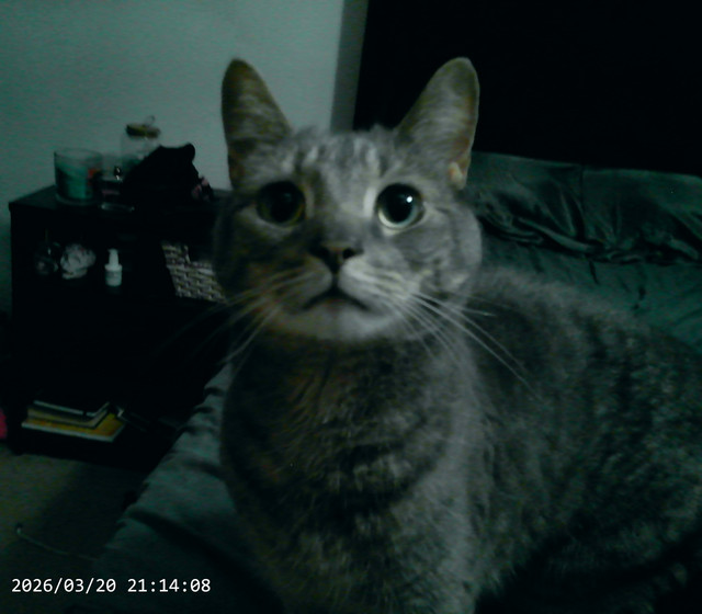 PICT0143 (1)