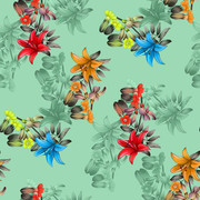 Shutterstock Allover (23)
