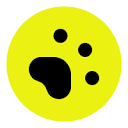 LowerPlane logo