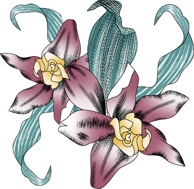 8f162c9b67b49aeb7286a3900ad47f30.png