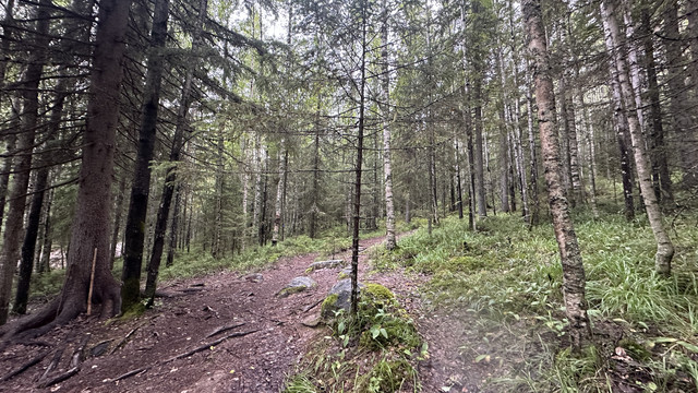IMG 4785.jpg