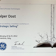 Strategic 2012