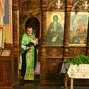 Pic 265