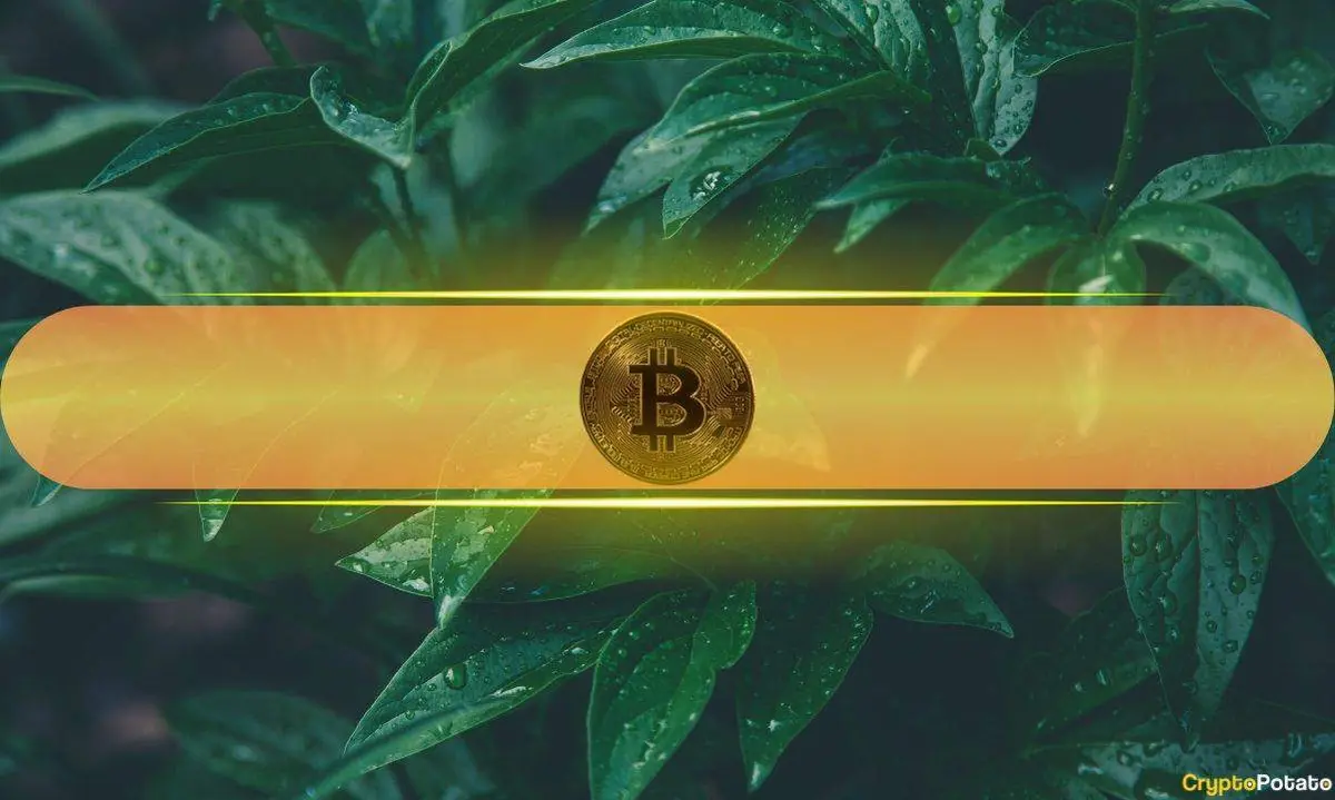 Bitcoin Price Surges to New Heights After Trump Signals Major Iran Peace Breakthrough