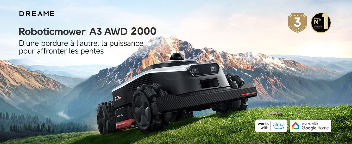 A3 AWD 2000-EUA French detail image 01