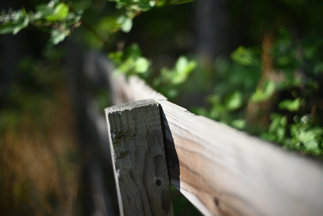 DSC 9094.jpg