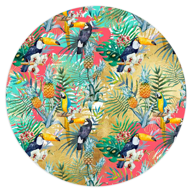2102842-Tropical-Ana