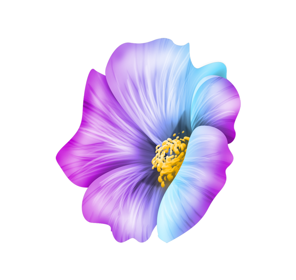 00d02bfb4288d6e32a910bb93184d6a0.png