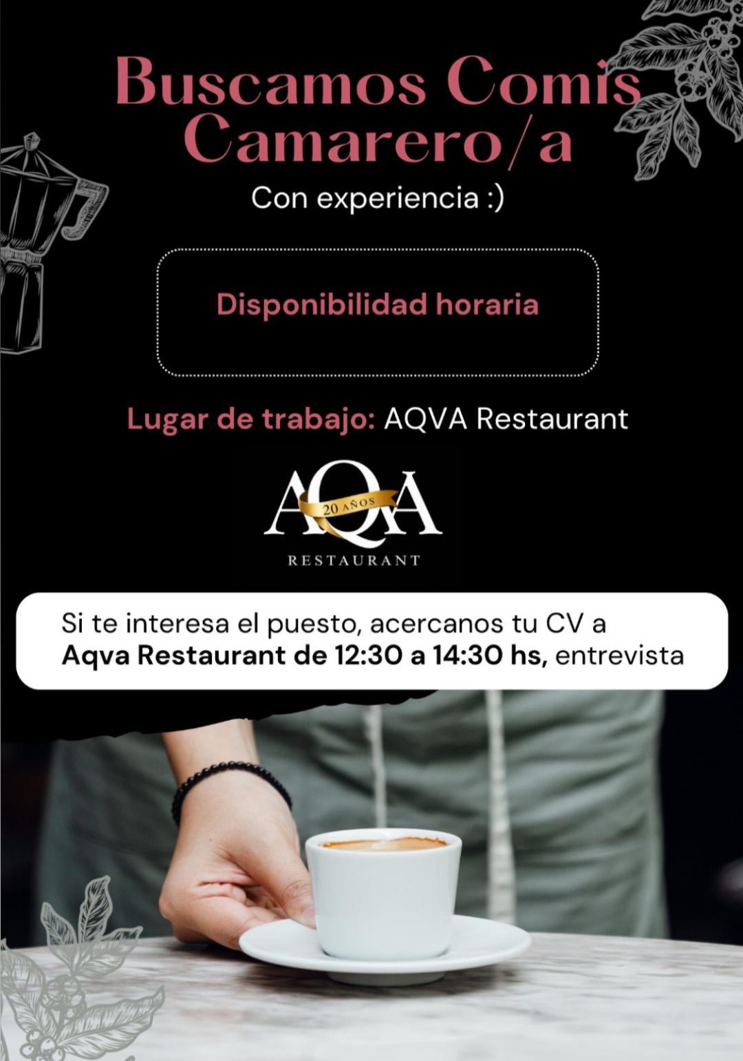 Se Busca Comis Camarero / a en Puerto Iguazú