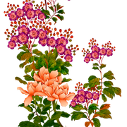 00ffe2d6e4f018fb9bb1394e935a6817