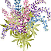 c5f9e9373a5b5bbfa7e63ecc3547dbea.png
