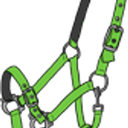 riimu9 5