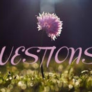 questions-26-2