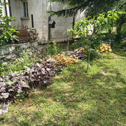 garden5