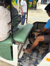 Chai after the injury — photo 1