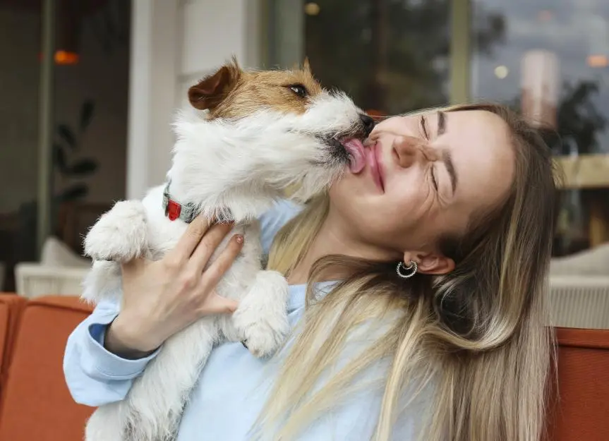 The Science Behind Canine Face Licking