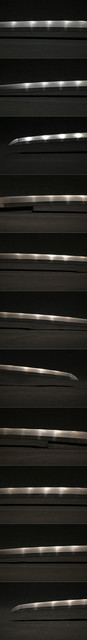 DSC1001.jpg