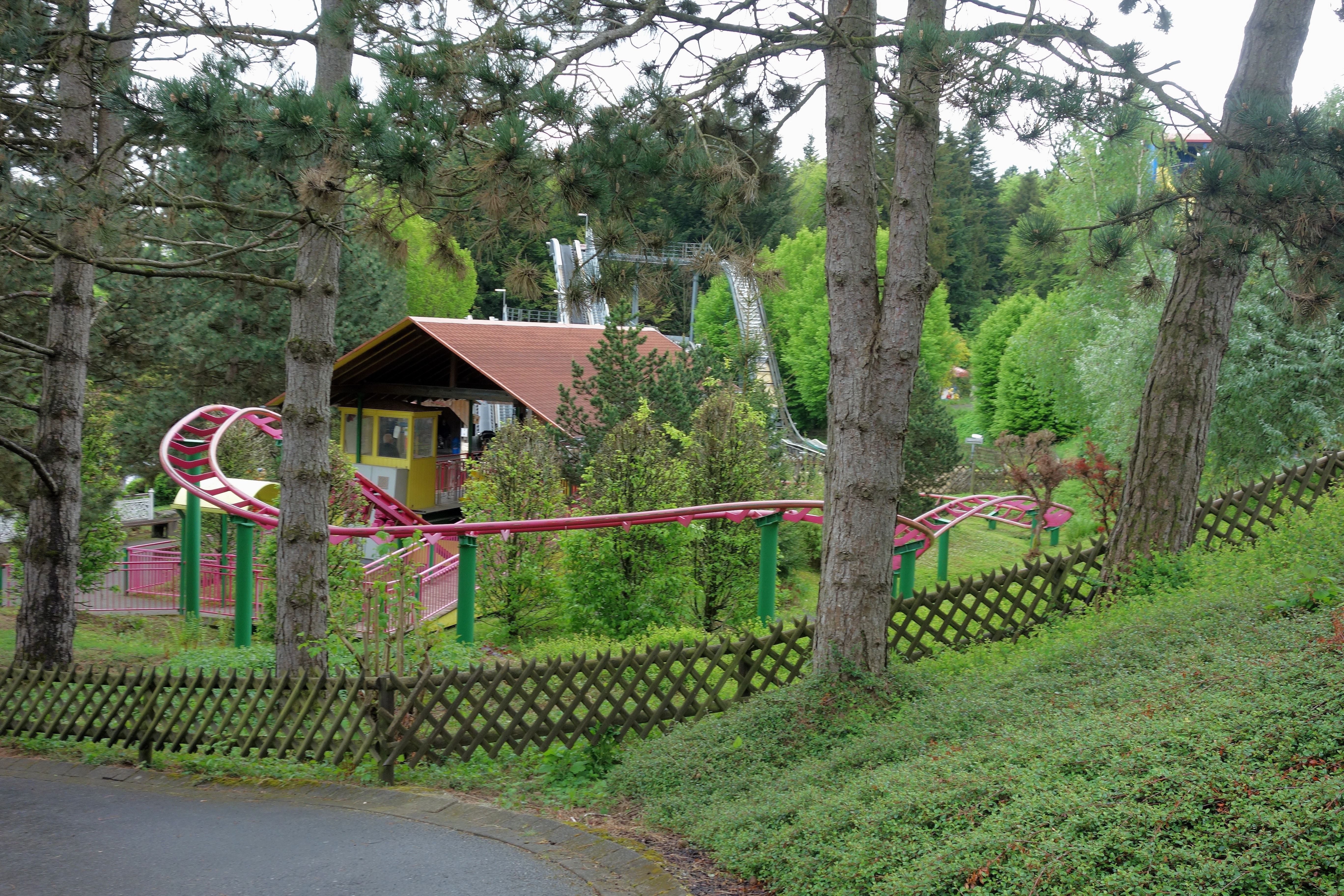 DSC07223