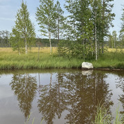 IMG 4756