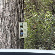 IMG 4778