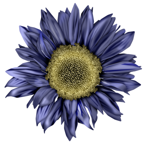 FM-Fl-W-Element-54.png