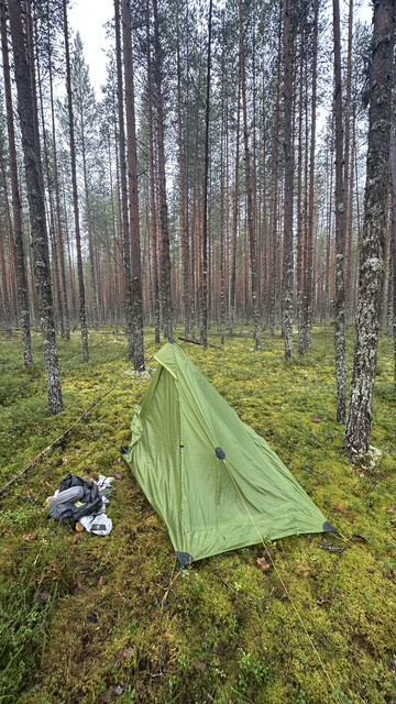IMG 5562.jpg