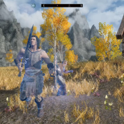 Screenshot (1364)