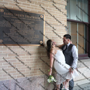 IMG 4497