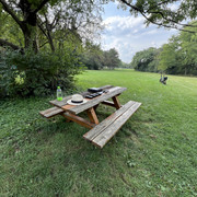 IMG-0390