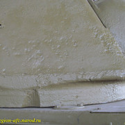 IMG-0197
