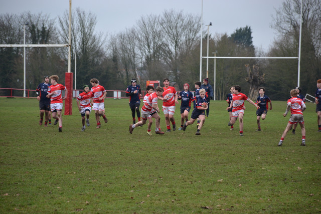 DSC 1396.jpg