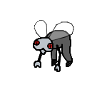 Fly.png