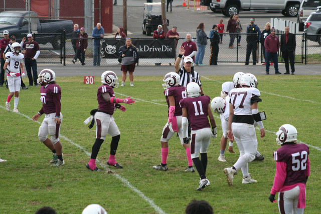 IMG-0261.jpg