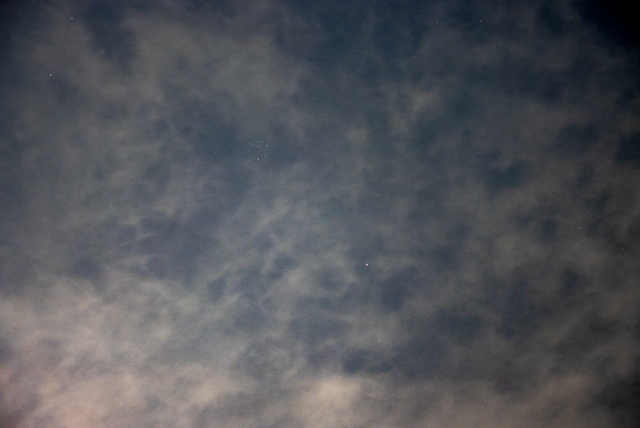 pleimars2