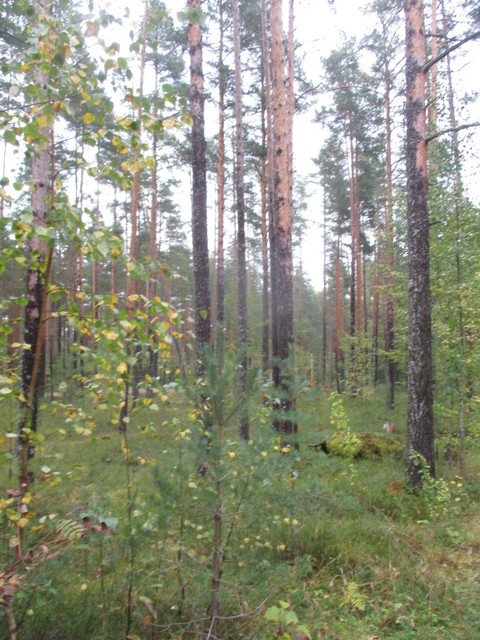 IMG-9649