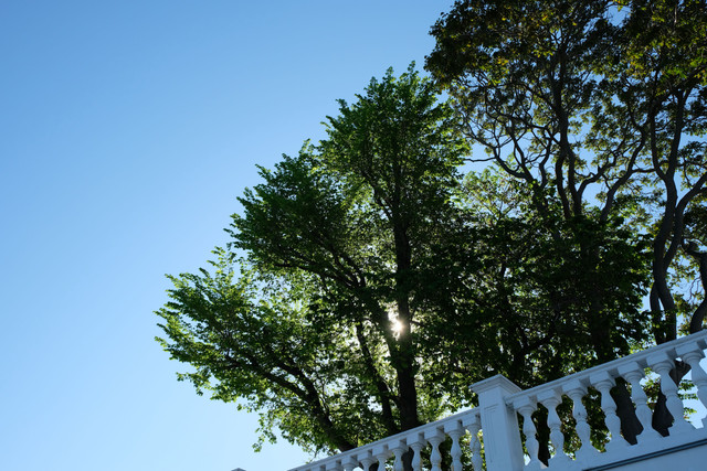 DSCF6095