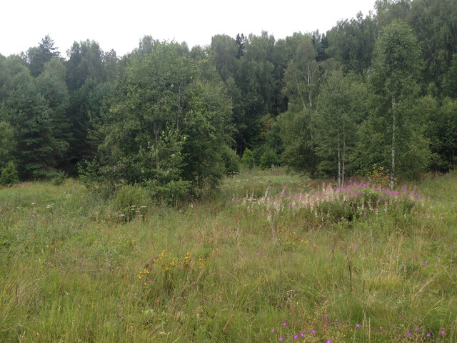 IMG-3986.jpg