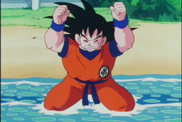 333