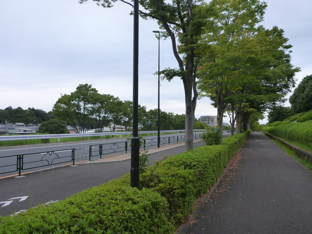 P1340921.jpg