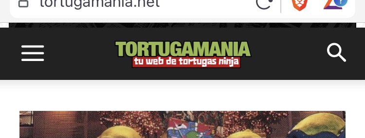 webpage fail