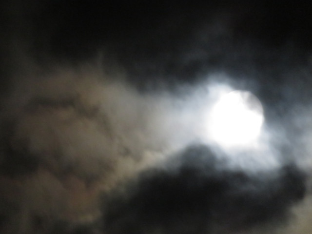 Pmoon-028.jpg