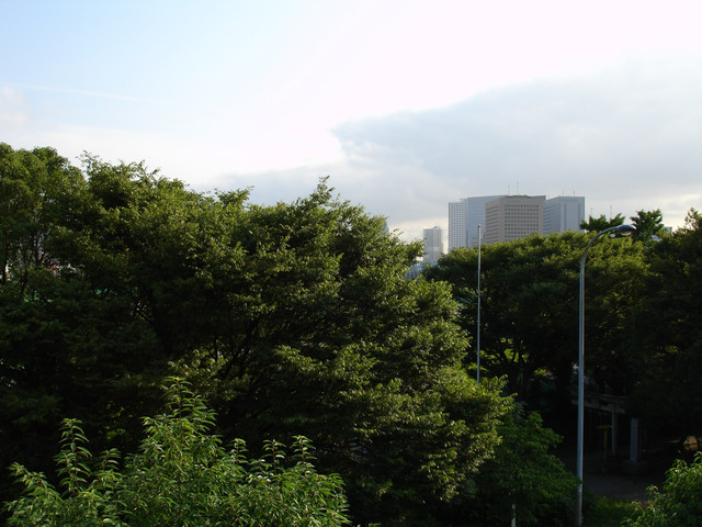 2008-06-27-06.jpg