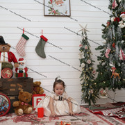 IMG 4462
