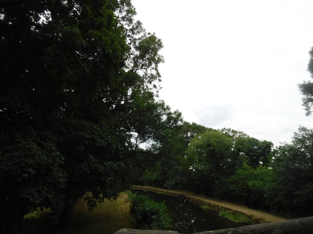 DSCF0210.jpg