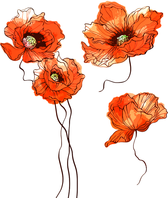 1709d19cfbeace05bcf72441f632f868.png